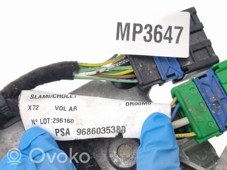 Citroen C5 Pompa / Siłownik klapy tylnej bagażnika / Komplet 9687913180