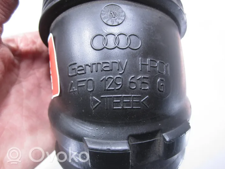 Audi A6 S6 C6 4F Žarna (-os)/ vamzdis (-džiai) 4F0129615G