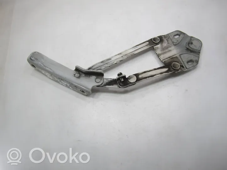 Volkswagen Caddy Engine bonnet/hood hinges 2K5823302