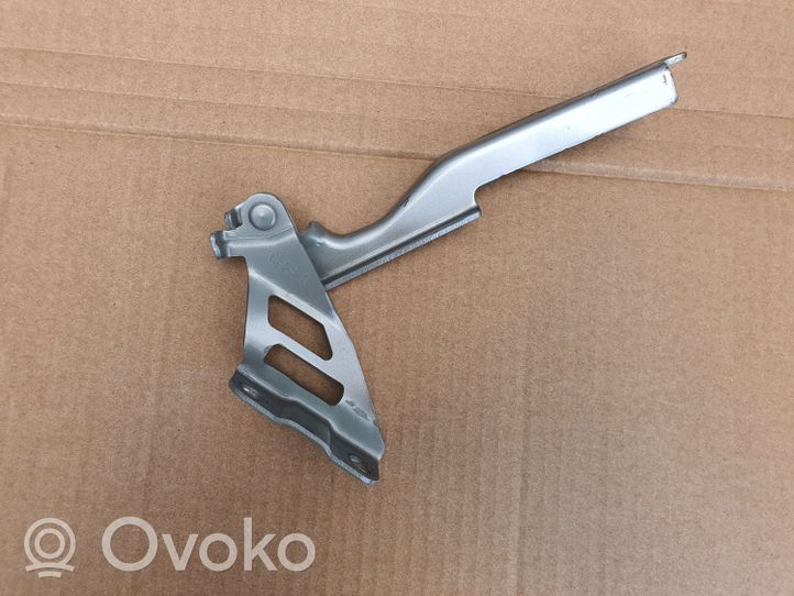 Mazda 6 Cerniere del vano motore/cofano 1011044600