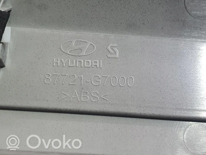 Hyundai Ioniq Listón embellecedor de la puerta delantera (moldura) 87721-G7000