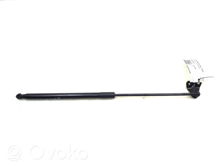 Toyota C-HR Jambe de force de hayon 68950F4050