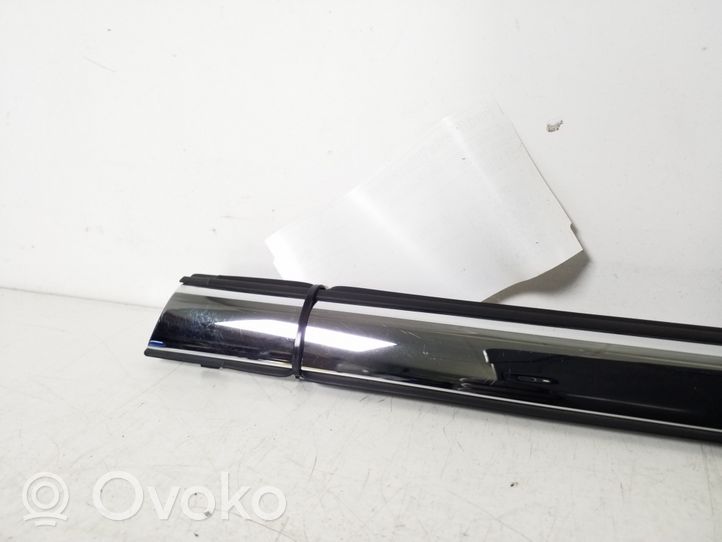 Ford Fiesta Rear door trim (molding) 5118868