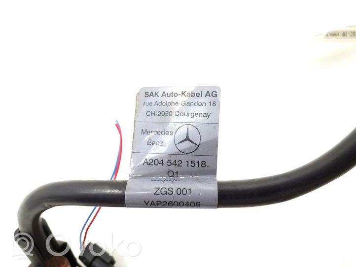 Mercedes-Benz E C207 W207 Minusinis laidas (akumuliatoriaus) A2045421518