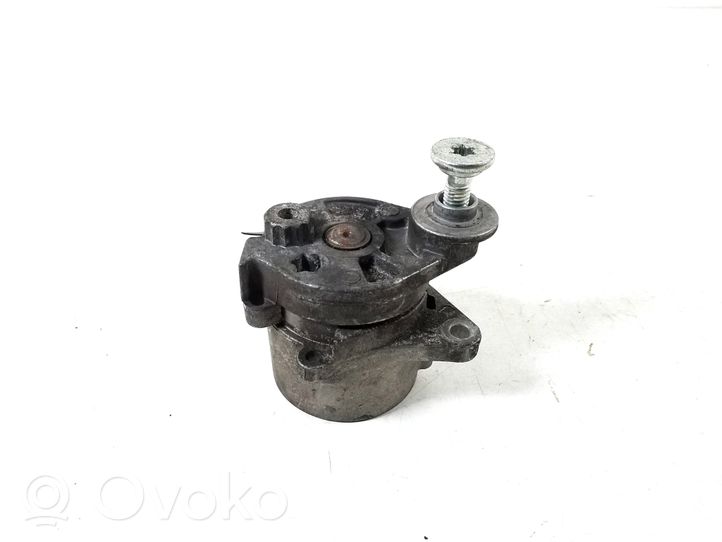 Mercedes-Benz S W220 Timing belt/chain tensioner A6462000570