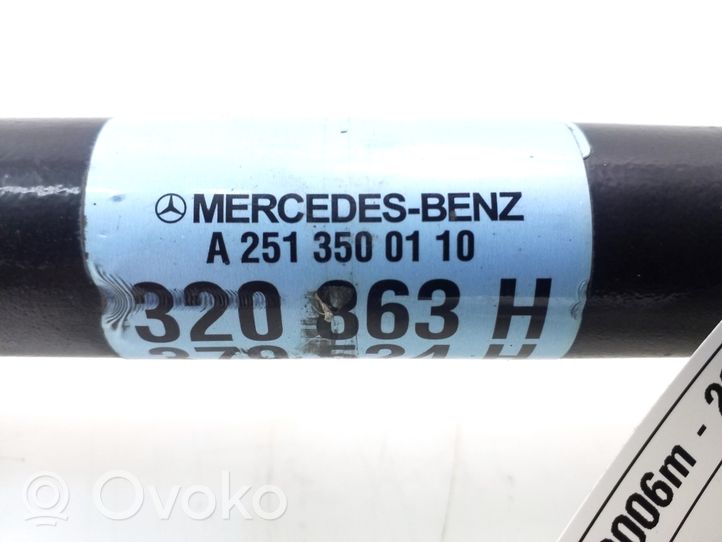 Mercedes-Benz R W251 Takavetoakseli A2513500110