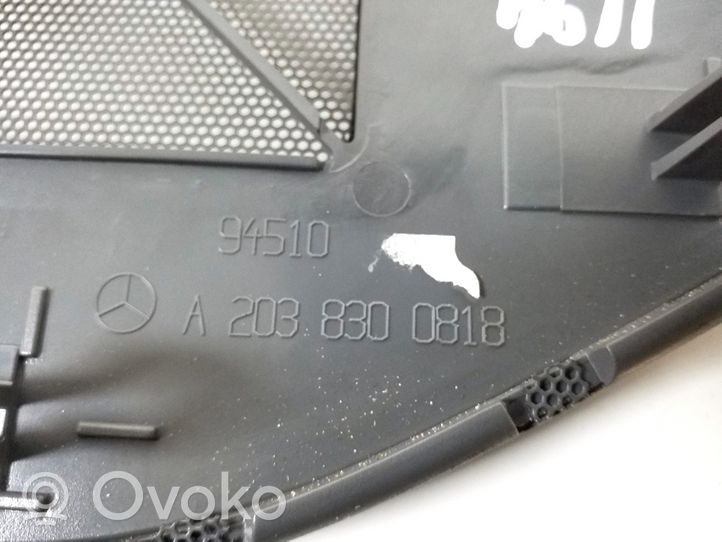 Mercedes-Benz C W203 Kita panelės detalė A2038300818