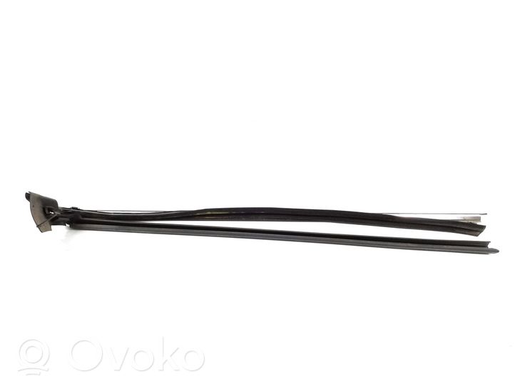 Mercedes-Benz CLK A209 C209 Moulure de vitre de la porte avant A2096900280