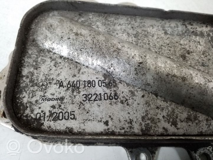 Mercedes-Benz A W169 Öljynsuodattimen kannake A6401800565