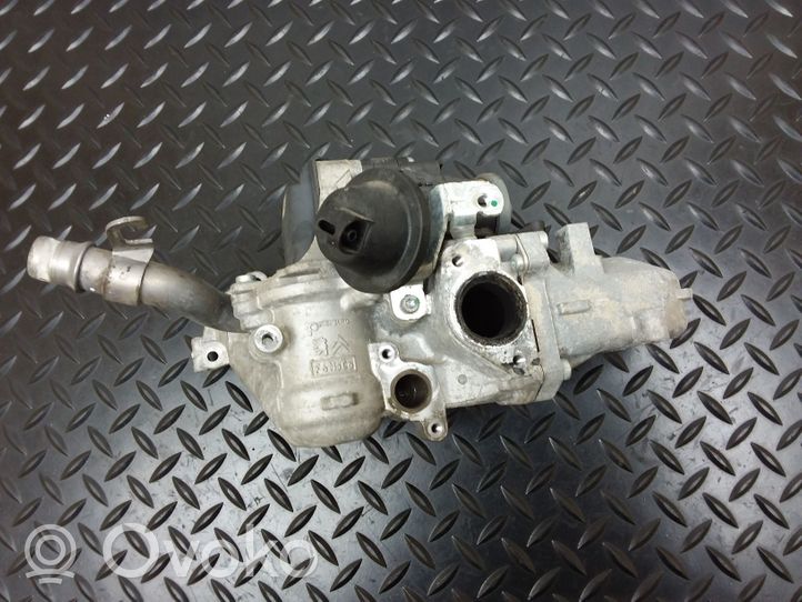 Citroen DS4 EGR valve 9602194080