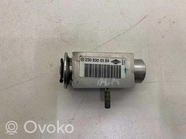 Mercedes-Benz S W221 Air conditioning (A/C) expansion valve 2308300184