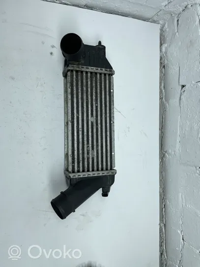 Citroen Xsara Picasso Starpdzesētāja radiators 66948