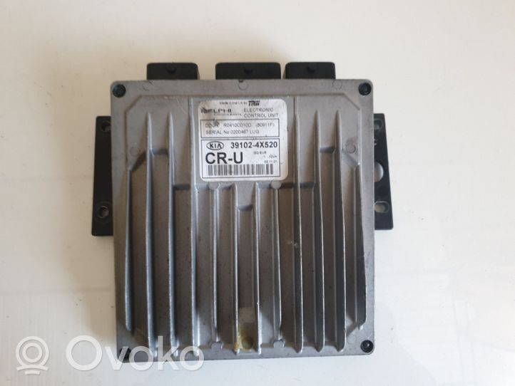 KIA Sorento Sterownik / Moduł ECU 391024X520