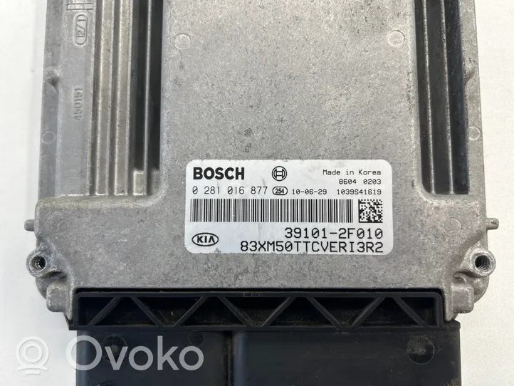 KIA Sorento Sterownik / Moduł ECU 391012F010