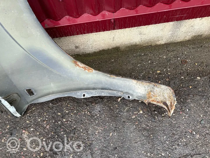 Opel Zafira B Fender 