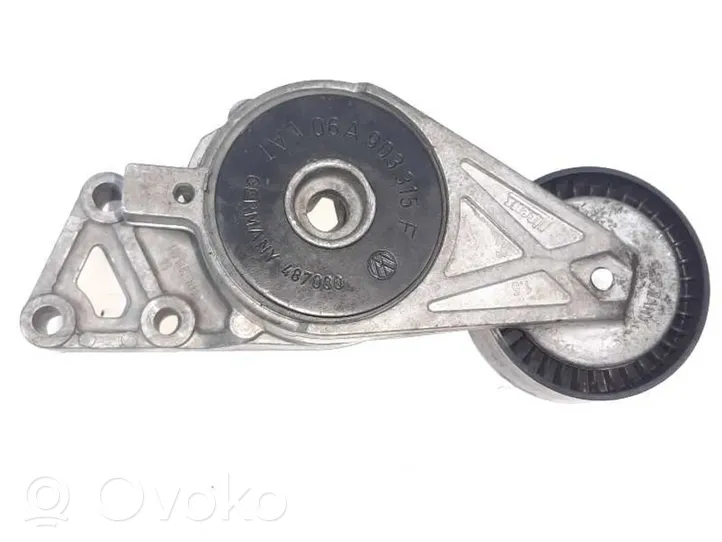 Audi A3 S3 8P Lichtmaschine Riemenspanner Spannrolle Keilrippenriemen Keilriemen 06A903315F