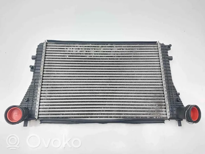 Seat Leon (1P) Radiatore intercooler 1K0145803A