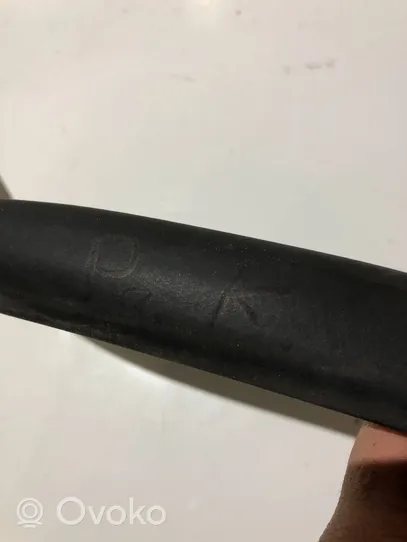 Volkswagen PASSAT B6 Front door rubber seal 