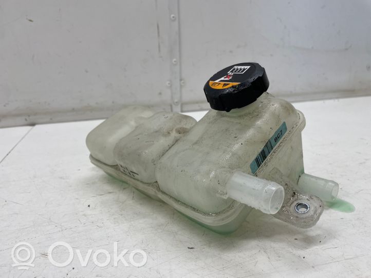 KIA Niro Serbatoio di compensazione del liquido refrigerante/vaschetta 