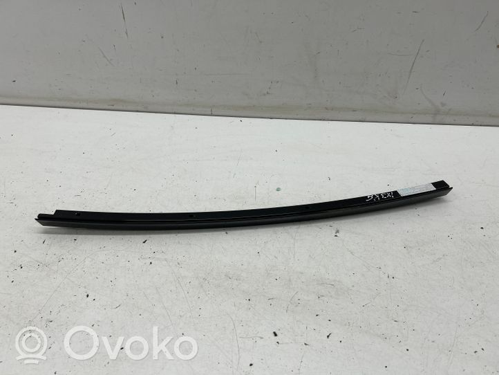 BMW iX3 G08 Rivestimento modanatura del vetro della portiera posteriore 7410047