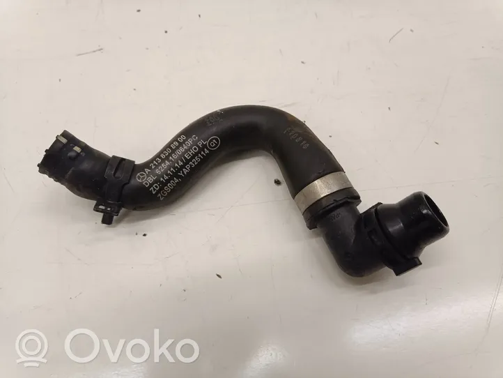 Mercedes-Benz E W213 Tuyau de liquide de refroidissement moteur A2138308900