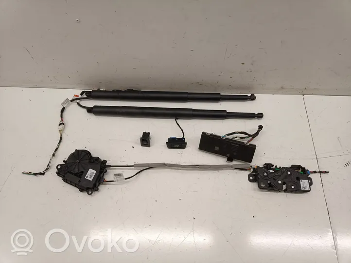 BMW 3 G20 G21 Tailgate hydraulic set 7453413