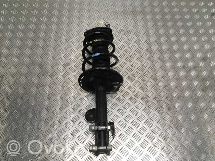 Toyota RAV 4 (XA40) Ammortizzatore anteriore 4852042610