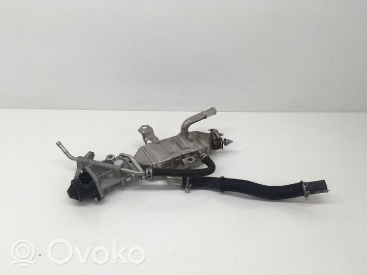 Toyota C-HR Valvola EGR 256010T010A