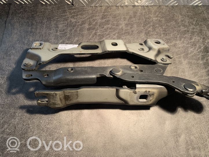 BMW 7 F01 F02 F03 F04 Cerniere del vano motore/cofano 7184190