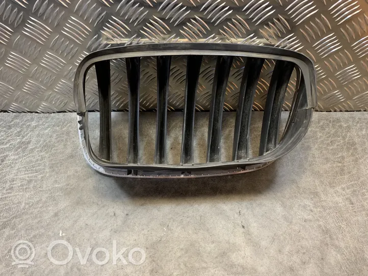 BMW X5 E70 Grille inférieure de pare-chocs avant 7171396