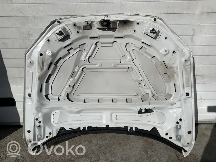 BMW X1 E84 Dangtis variklio (kapotas) 9231859