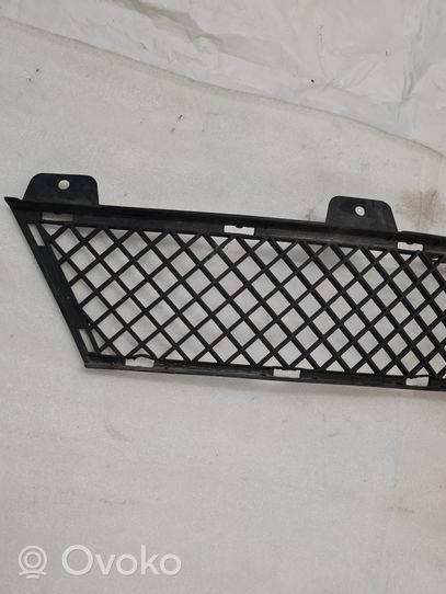 BMW Z4 E89 Front bumper lower grill 7203790