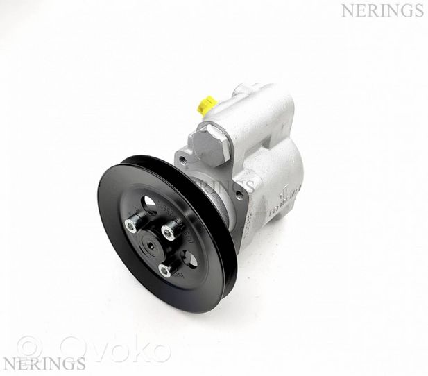 Audi 80 B1 Power steering pump JPR233