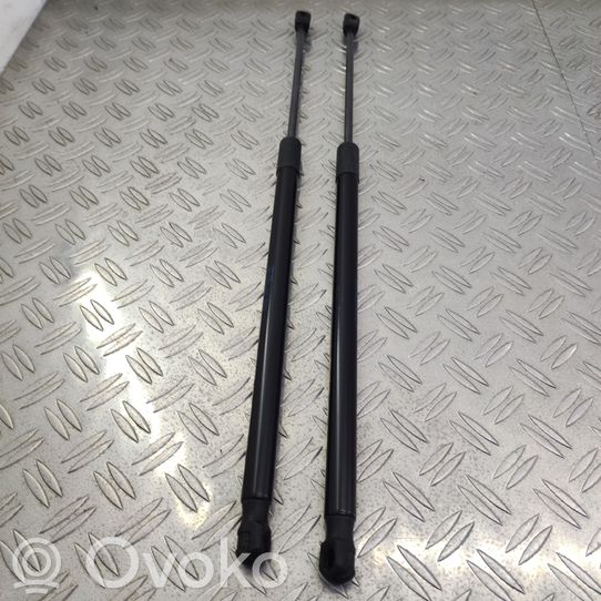 Pistoni Portellone Seat Ibiza 6j Station Wagon | Prezzo E Costo Sostituzione