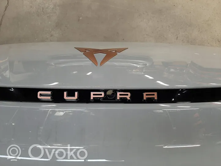 Cupra Born Etupuskuri 10E807221D