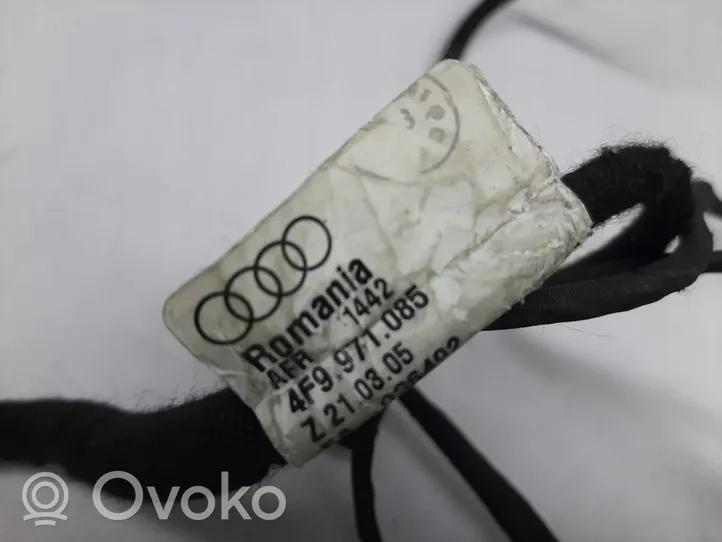 Audi A6 S6 C6 4F Parking sensor (PDC) wiring loom 4F9971085