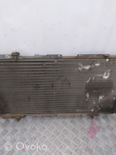 Citroen Jumpy Radiateur de refroidissement 