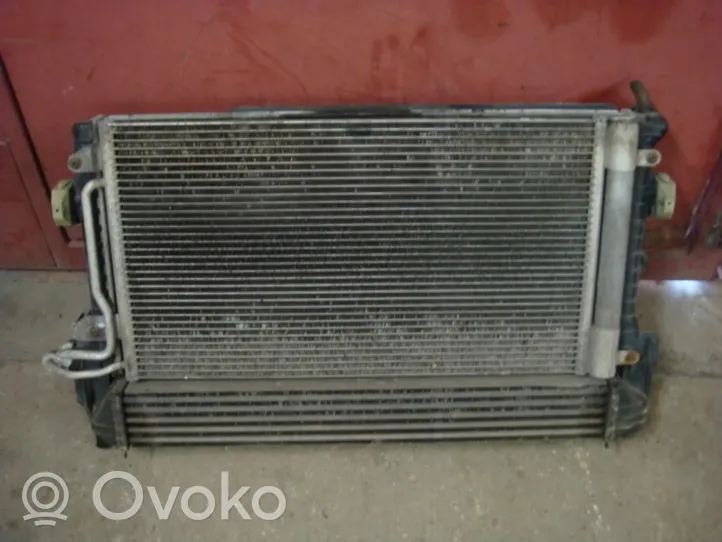 Seat Ibiza IV (6J,6P) Kit Radiateur 