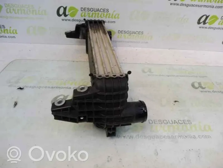 Ford Tourneo Radiatore intercooler 