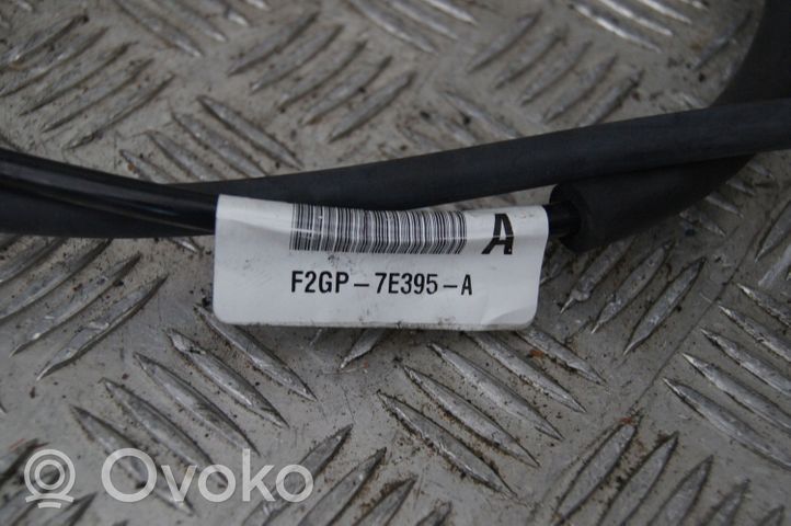 Ford Edge II Vaihteenvalitsimen verhoilu F2GP7E395A