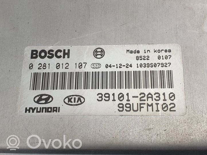 Hyundai Matrix Sterownik / Moduł ECU 391012A310