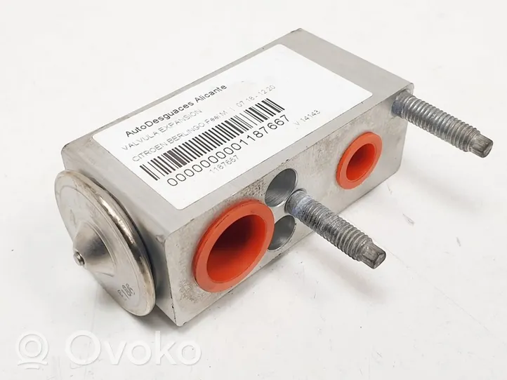 Citroen Berlingo Air conditioning (A/C) expansion valve A31102300