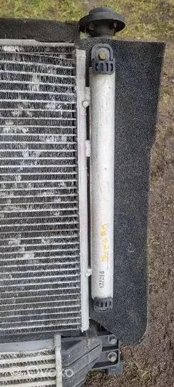 Opel Antara Radiateur de refroidissement 