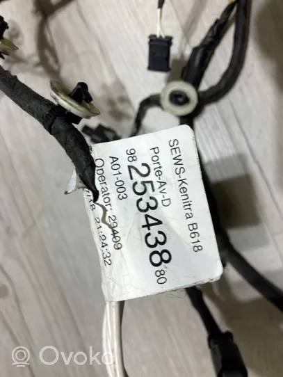 Citroen C3 Faisceau de câblage de porte avant 9825343880