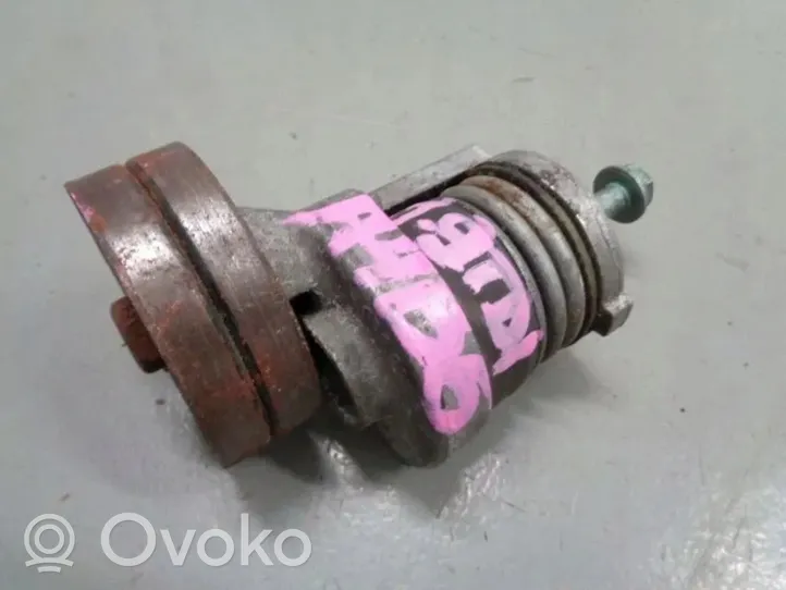 Audi A4 S4 B6 8E 8H Napinacz paska wielorowkowego / Alternatora 