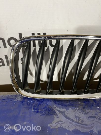 BMW Z4 E85 E86 Maskownica / Grill / Atrapa górna chłodnicy 51137051959