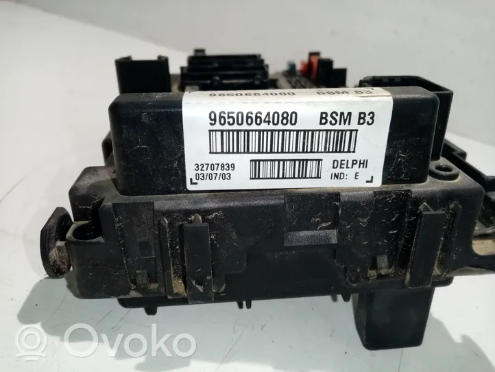 Peugeot 406 BSM Control unit 9650664080