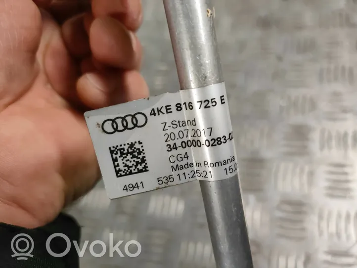 Audi e-tron Einzelteil Lufteinlasskanal 4KE816725E