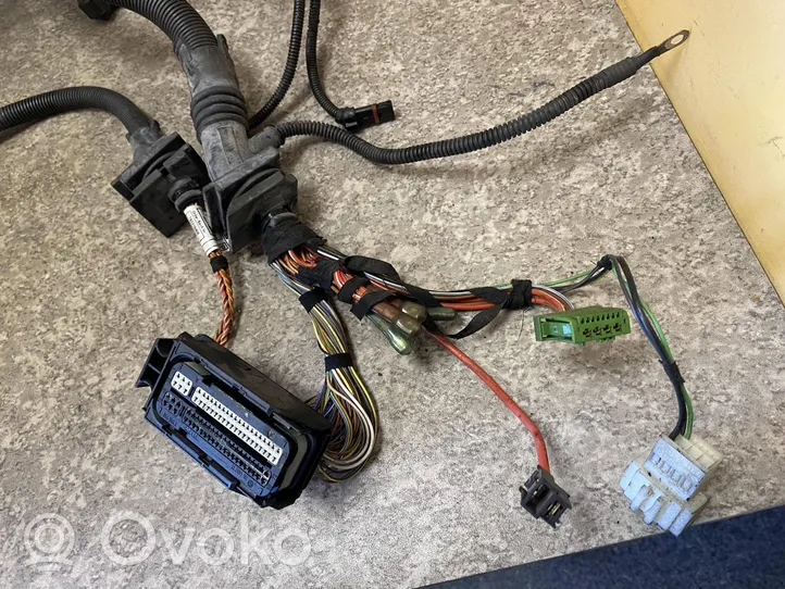 BMW 3 E90 E91 Cableado de instalación del motor 758018716A