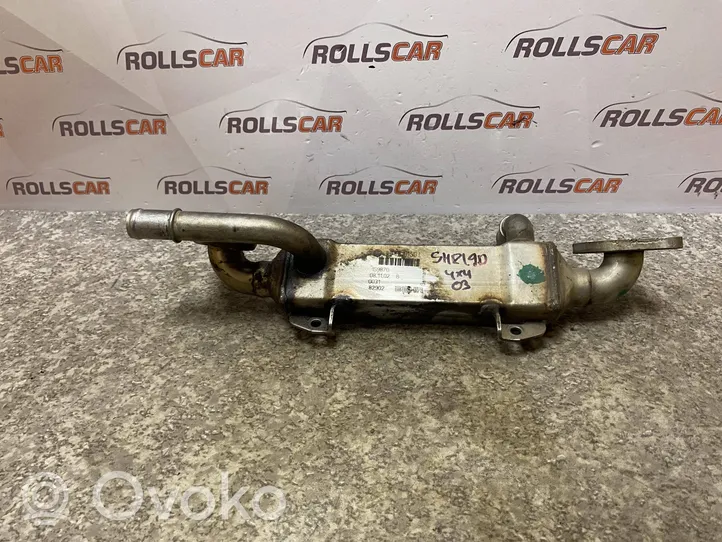 Volkswagen Sharan Valvola di raffreddamento EGR 038131513L